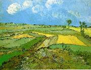 Vincent Van Gogh Wheat Fields at Auvers Under Clouded Sky Germany oil painting artist